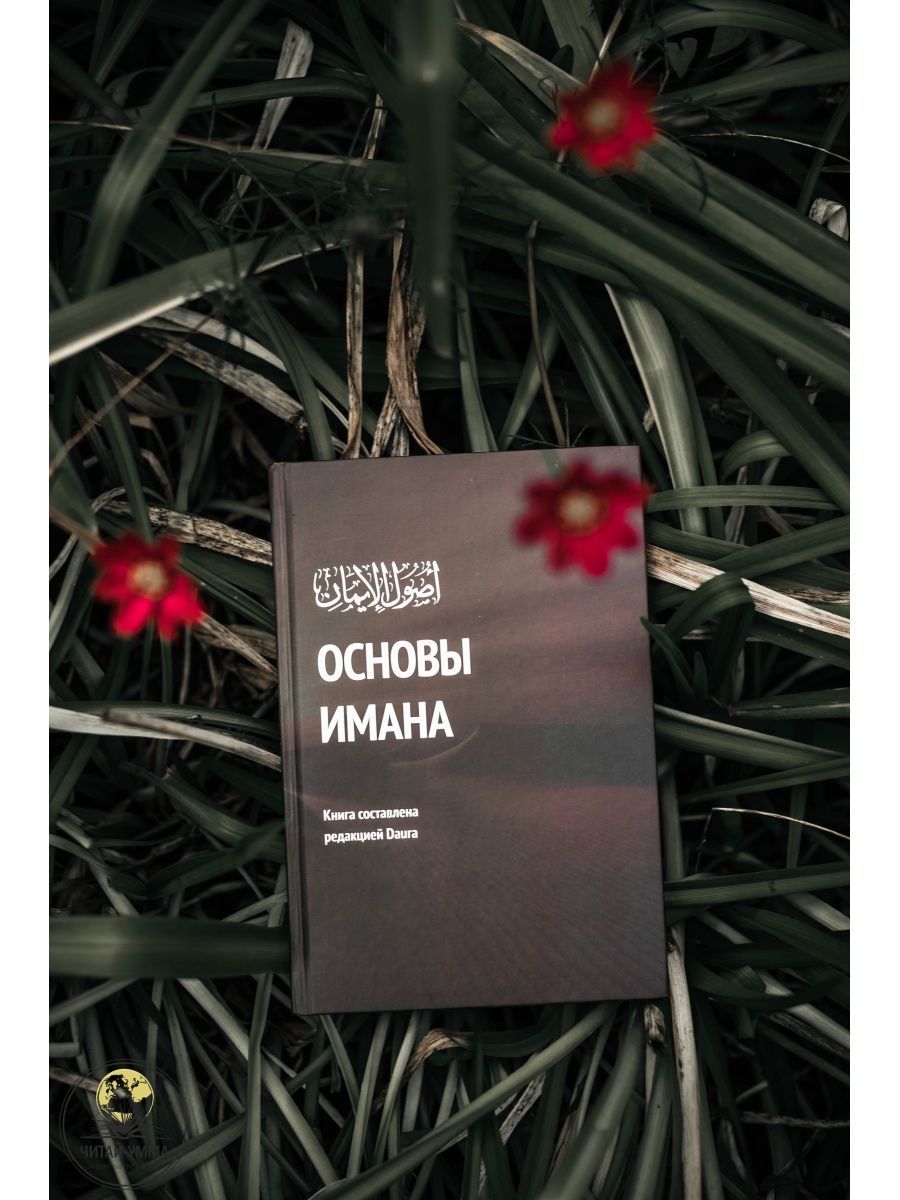 Книга исламская Основы имана / Daura / Ислам для начинающих