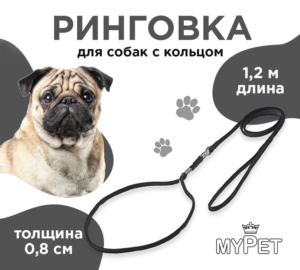 myPet Ринговка для собак с кольцом, поводок с ошейником для выставок и дрессировки, цвет черный