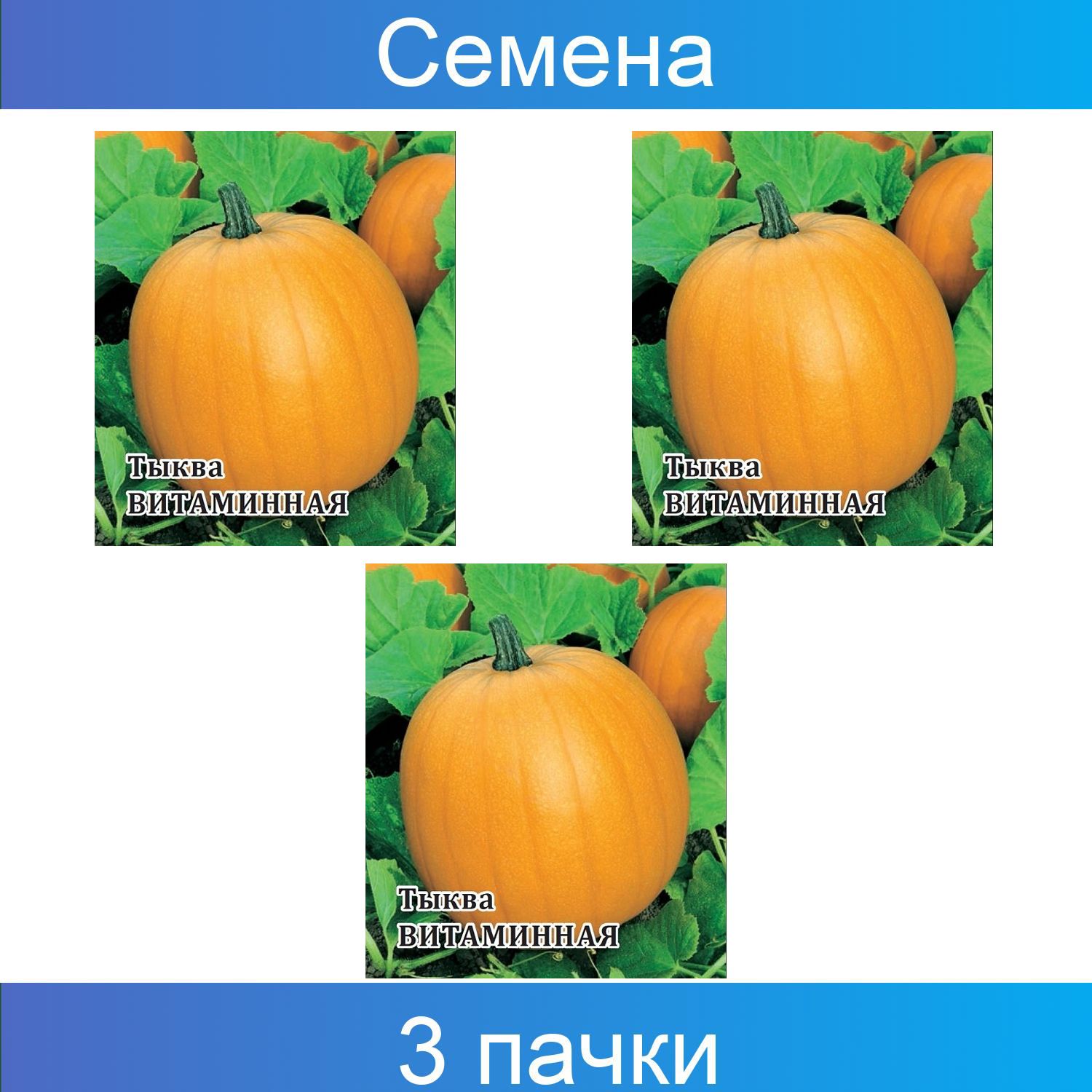 Тыква Витаминная Отзывы Фото