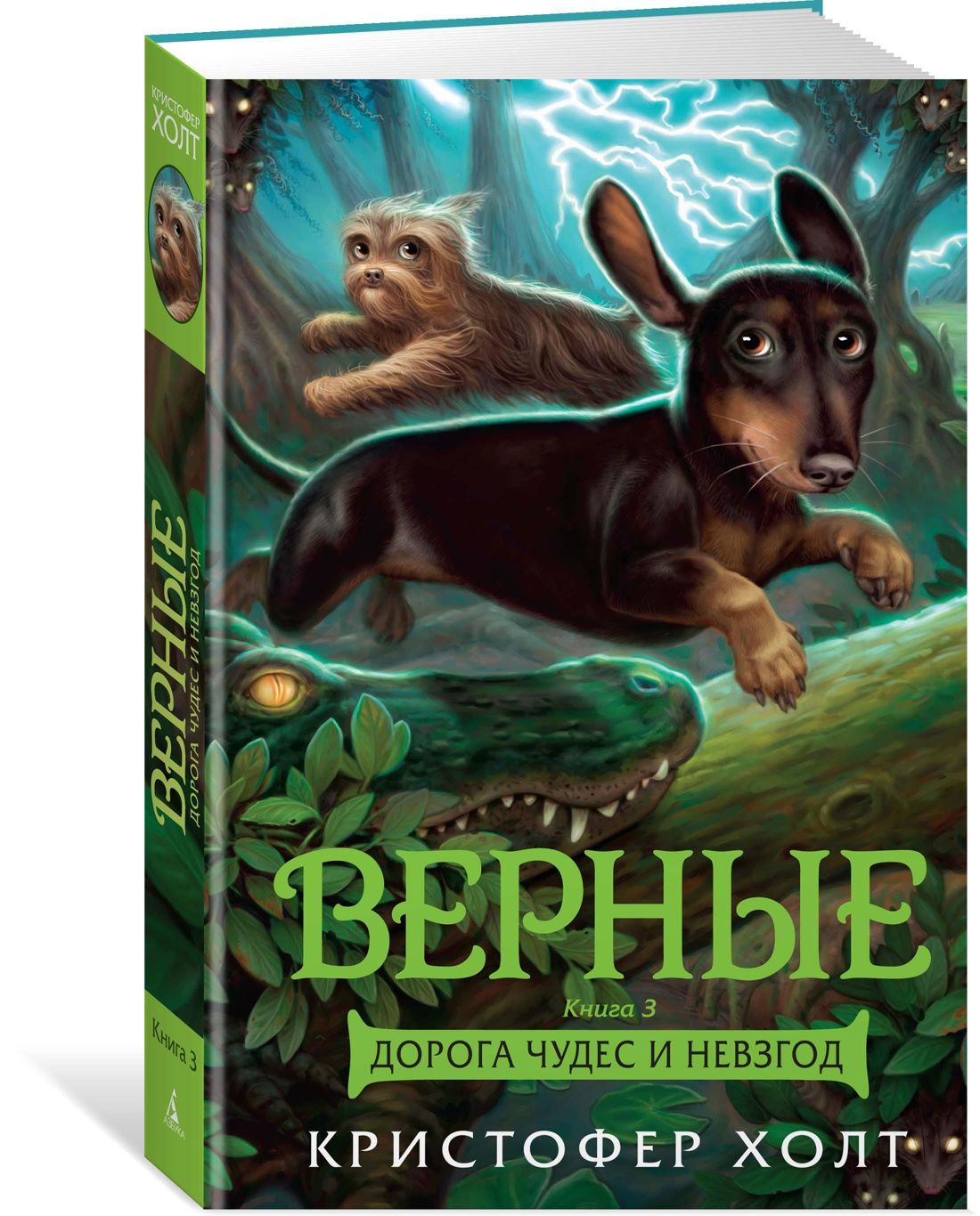 Верные Книга 2 Купить