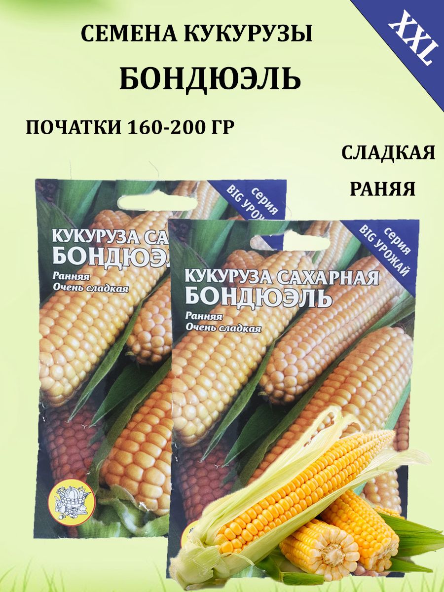 Кукуруза Бондюэль Купить Семена Для Посадки