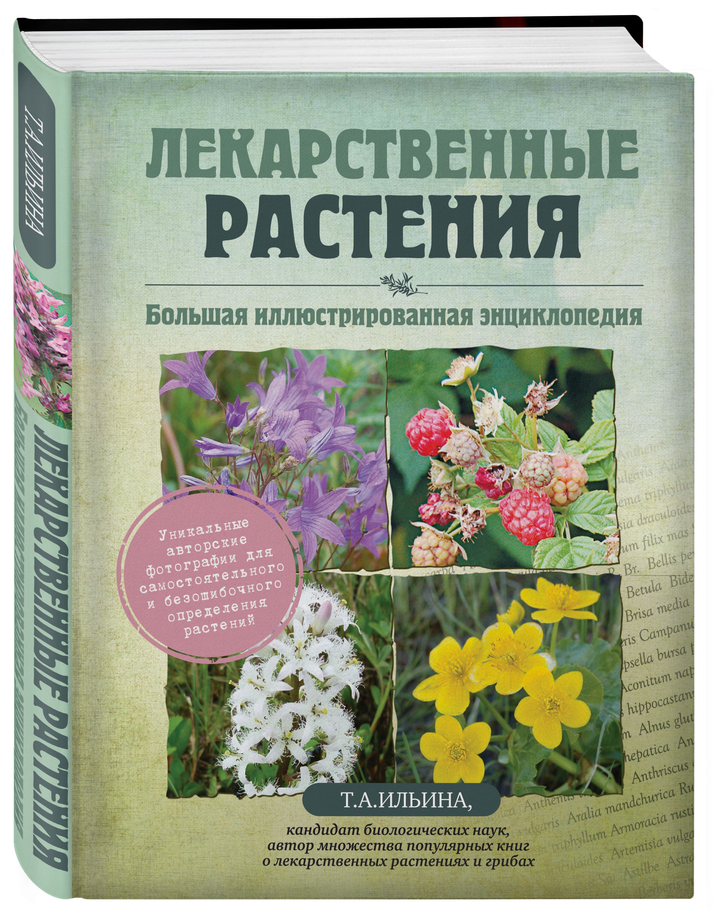 Лекарственные растения. Большая иллюстрированная энциклопедия | Ильина  Татьяна Александровна - купить с доставкой по выгодным ценам в  интернет-магазине OZON (264924791)