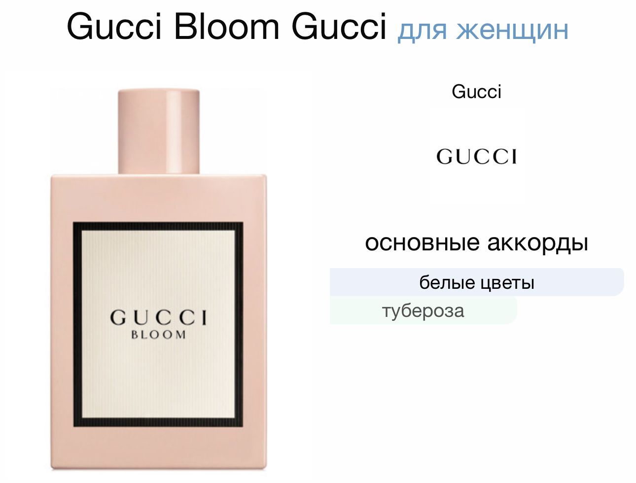 Gucci bloom outlet gucci