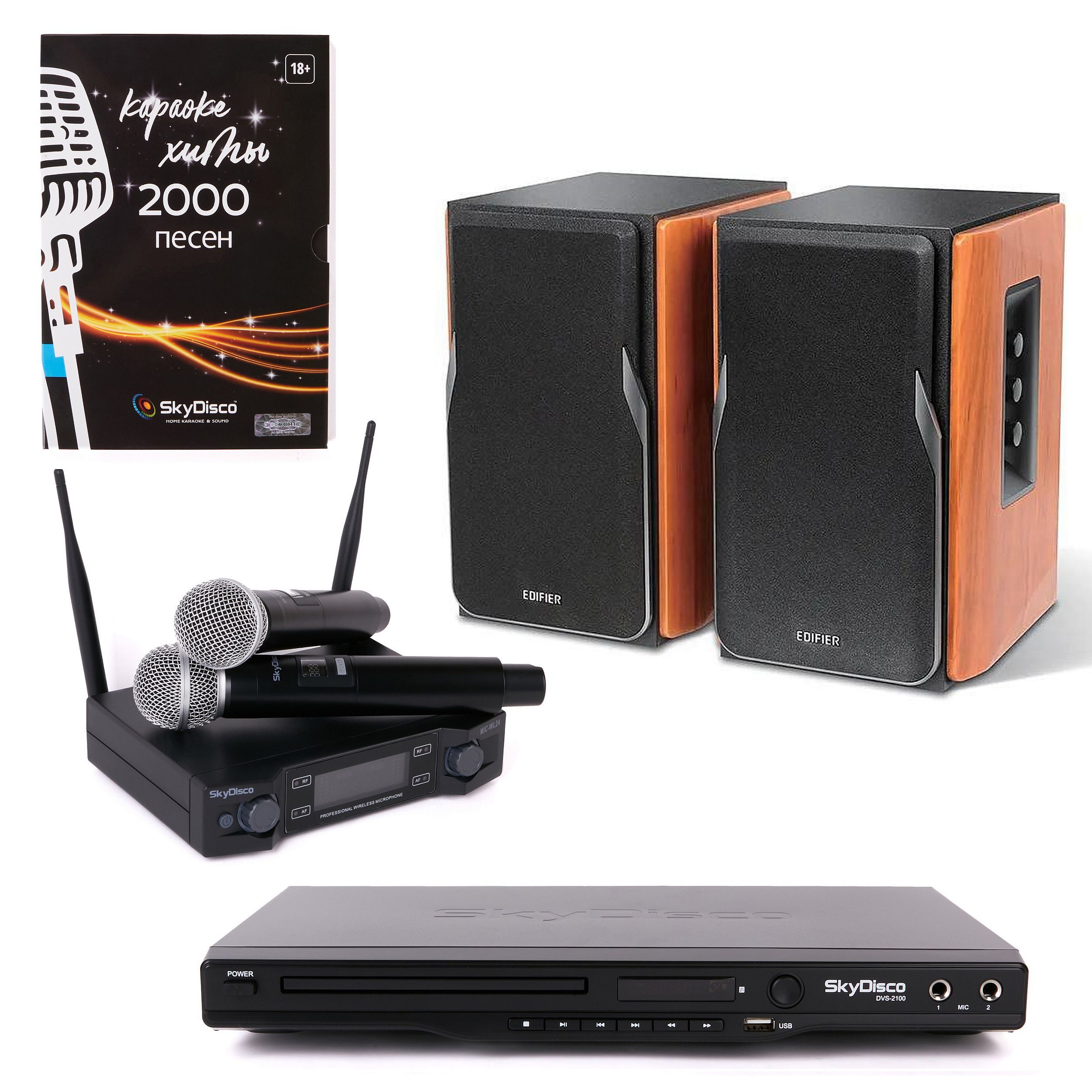 Комплект караоке для дома SkyDisco Karaoke Home Set + R1380T: приставка с  баллами, микрофоны, диск 2000 песен - купить с доставкой по выгодным ценам  в интернет-магазине OZON (904069027)