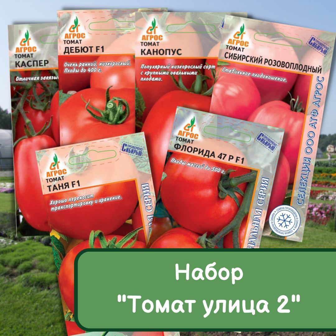 Дебют помидоры описание. Томат дебют. Томат Таня. Помидоры Каспер. Томат Браун кой.