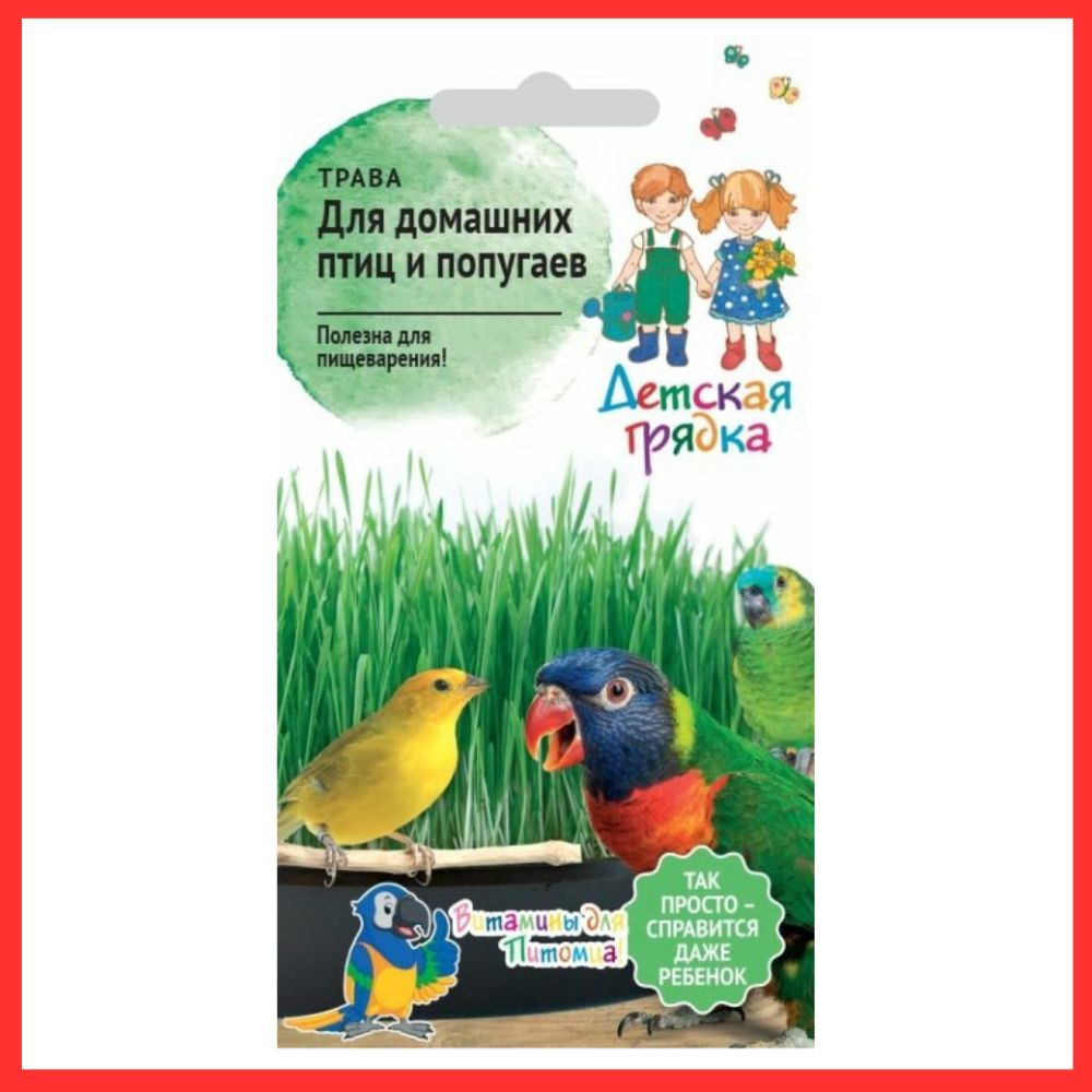 Семена однолетних растений Трава "Для домашних птиц и попугаев" для балкона, сада , огорода , дачи , дома / В грунт, грядку , теплицу , ящик