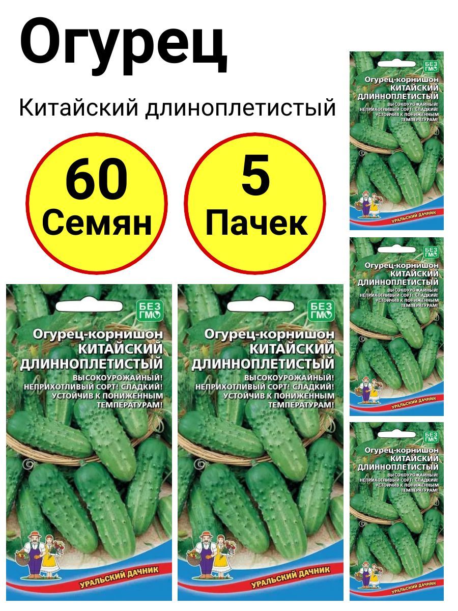 Семена Огурцы Уральский Дачник Купить