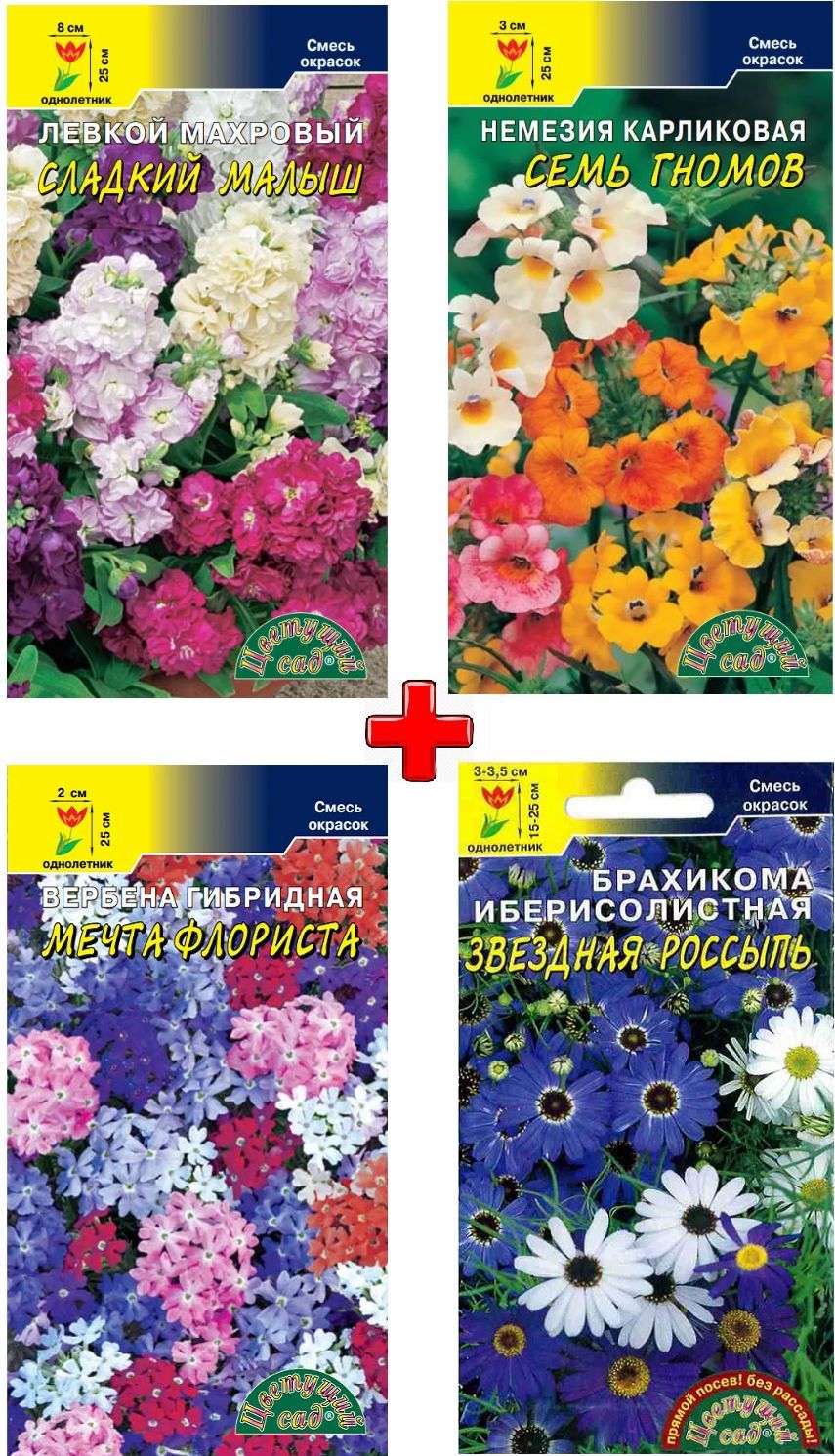 Купить Семена Низкорослых Цветов
