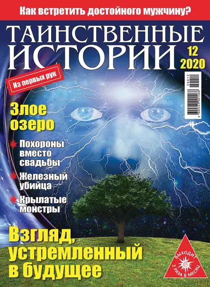 Таинственные истории No12/2020 | Электронная книга