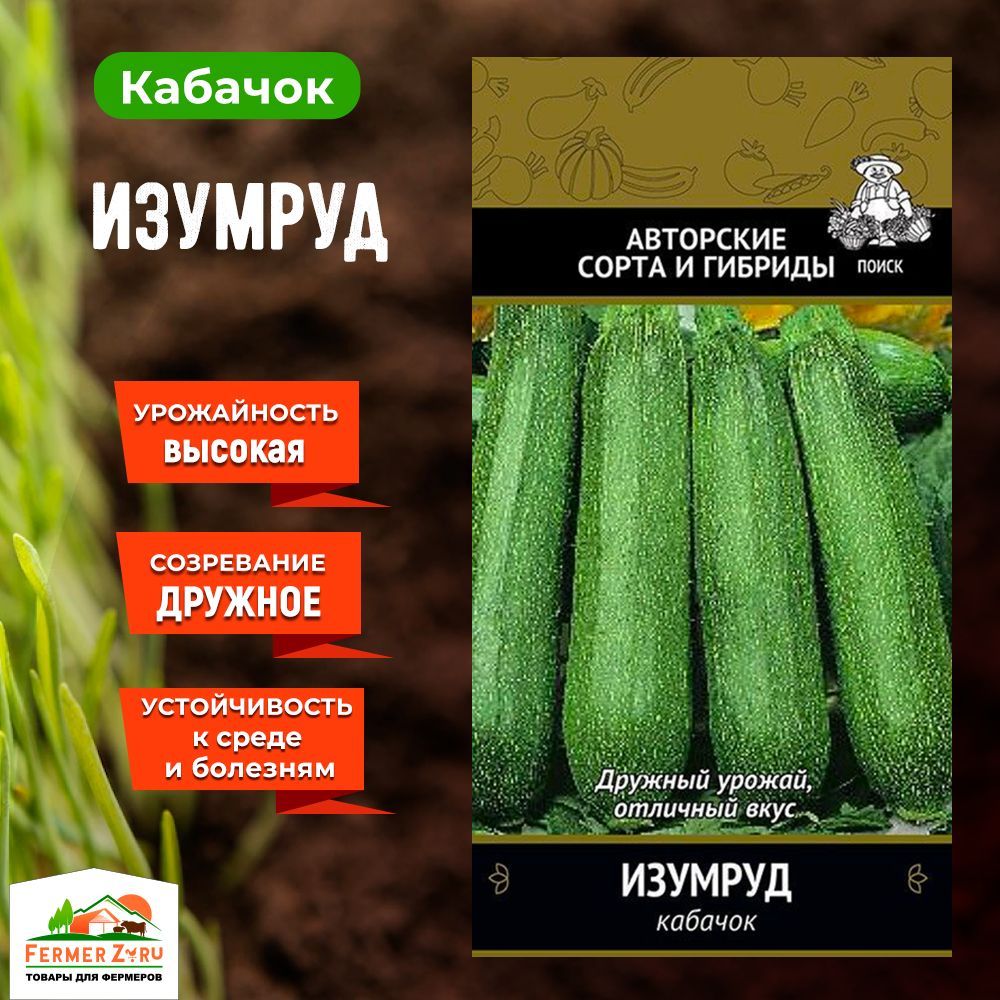 Кабачок изумруд. Кабачок изумруд описание. Кабачок изумруд фото. Кабачки кустовые.