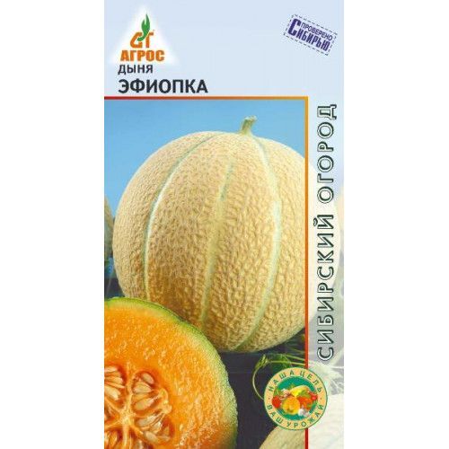 Дыня Эфиопка, описание сорта, фото, правила выращивания, отзывы