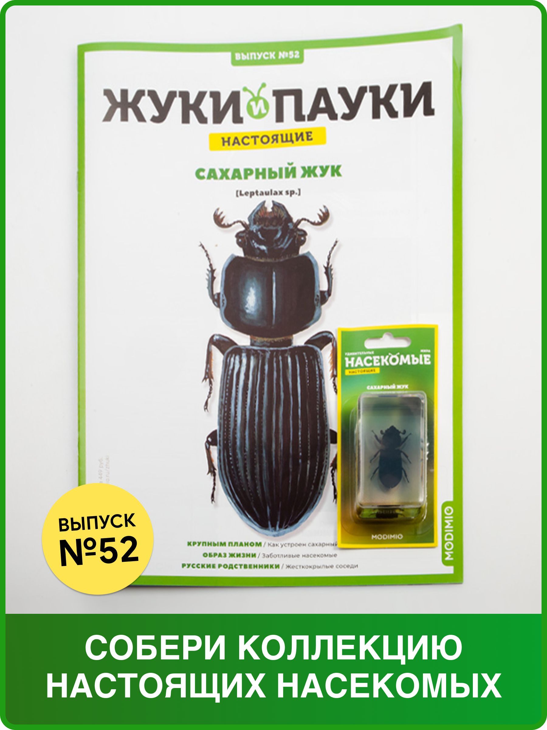 Жуки и пауки, Выпуск №52, Сахарный жук - купить с доставкой по выгодным  ценам в интернет-магазине OZON (703587495)