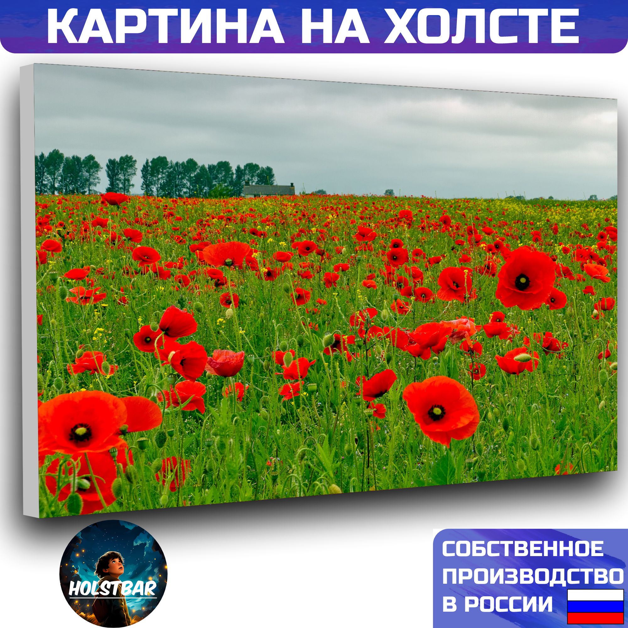 Купить Живые Маки В Москве