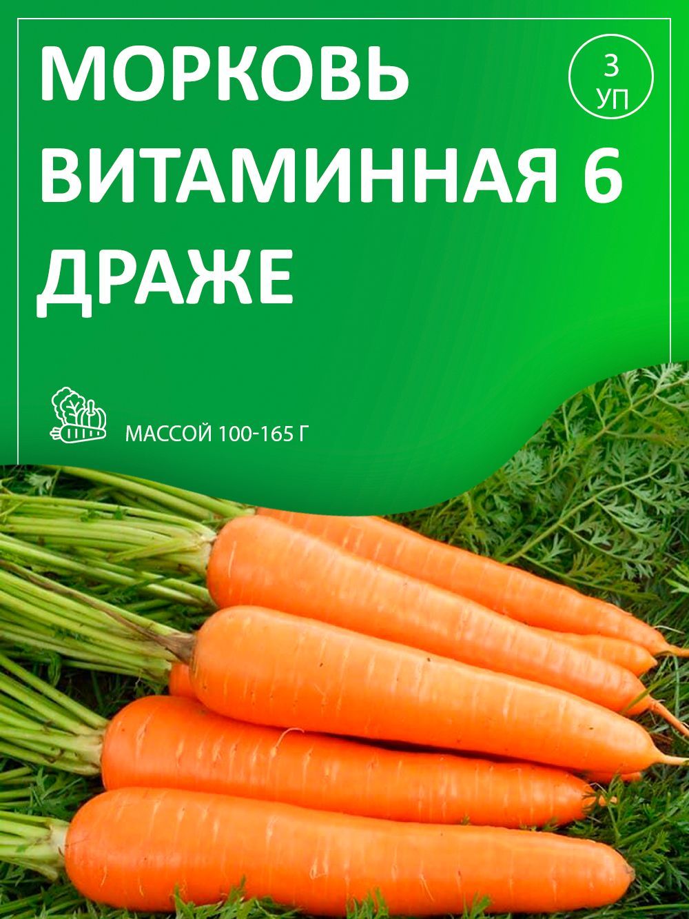 Морковь витаминная 6. Морковь сорт витаминная. Морковь витаминная фото. Морковь витаминная описание.