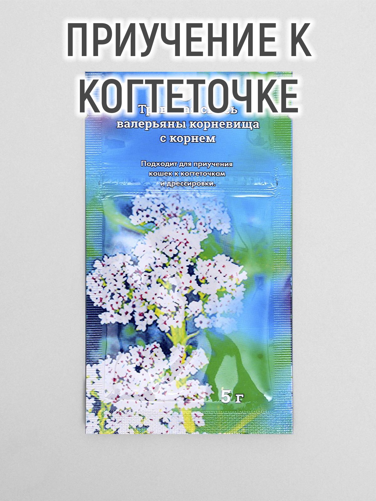 Травяная Смесь Для Когтеточки Купить В Спб