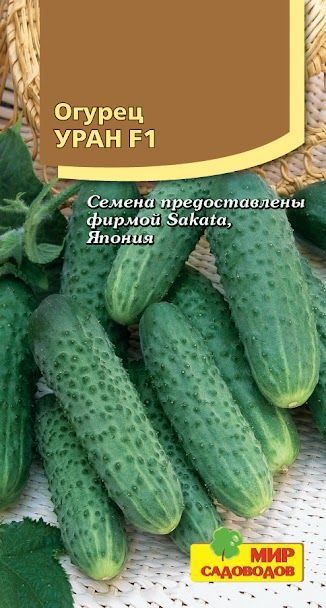 Купить Семена Огурец Уран