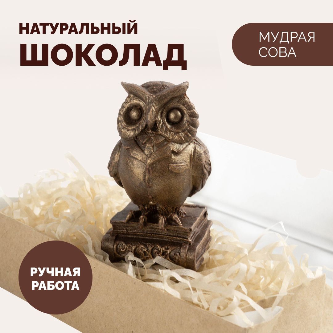 Шоколадный набор "Мудрая сова", фигурный бельгийский шоколад ручной работы, необычный подарок