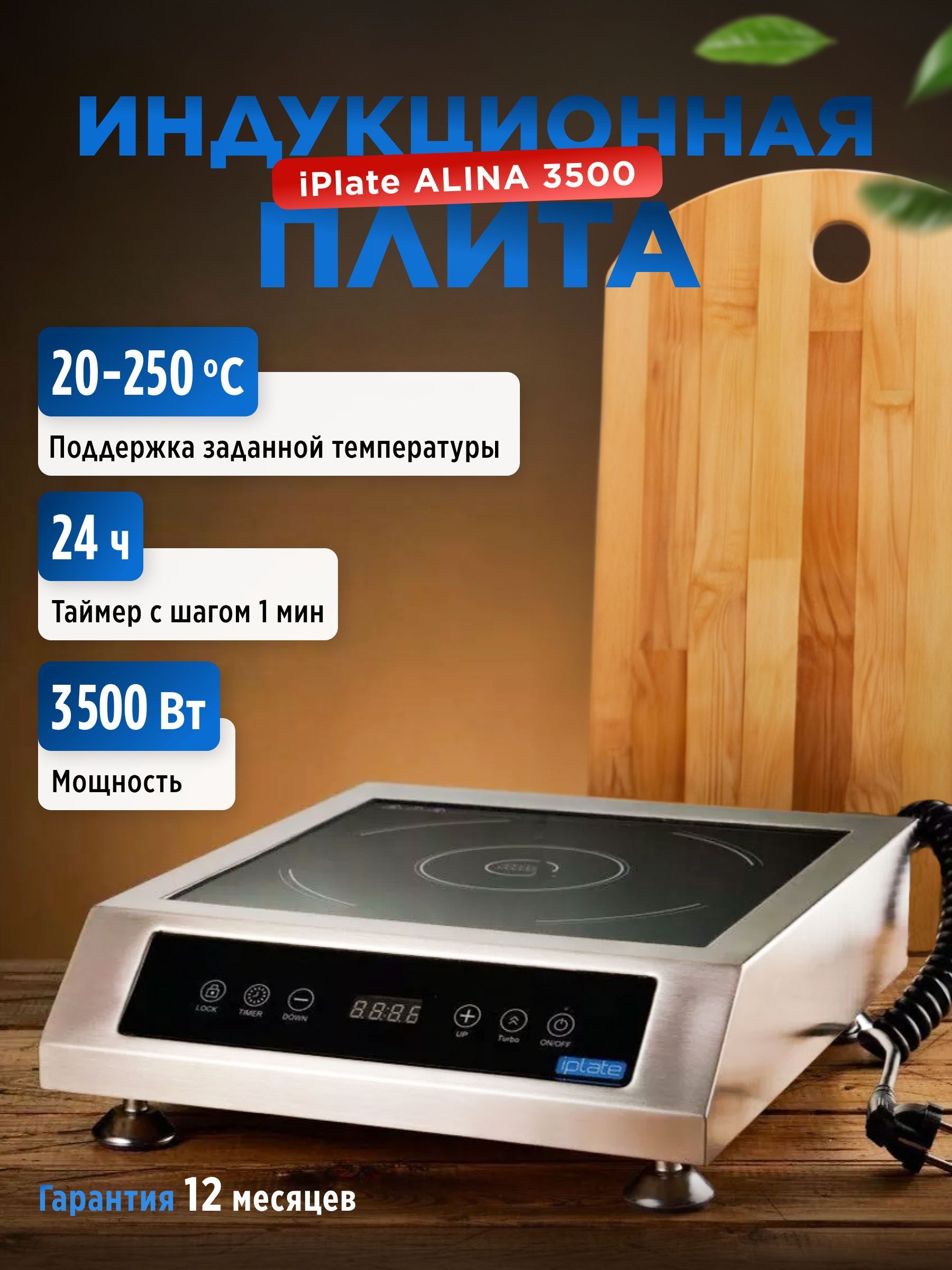 Iplate Индукционная настольная плита ALINA, серебристый