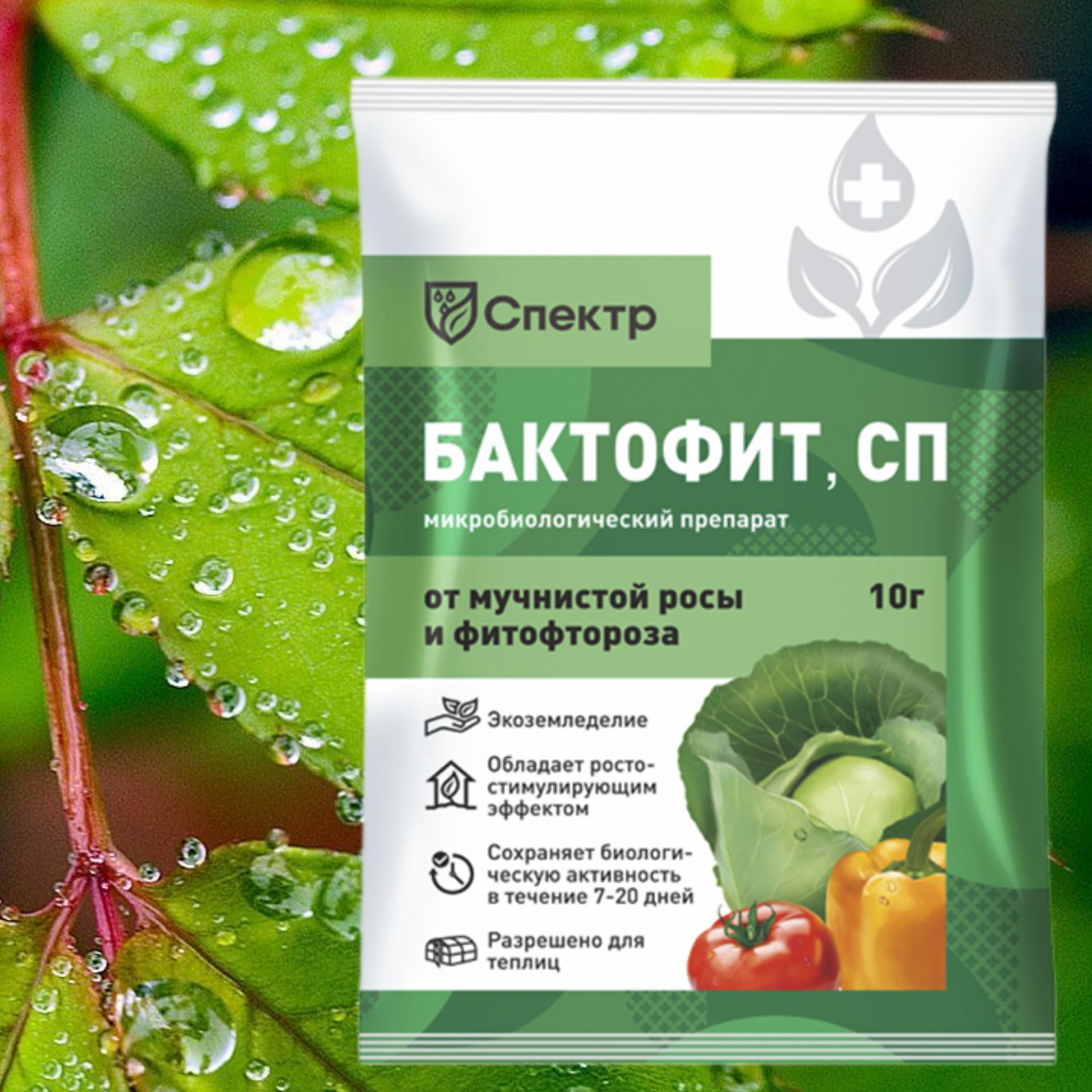 Бактофит СП. Бактофит спектр. Бактофит глазные капли. Бактофит состав.