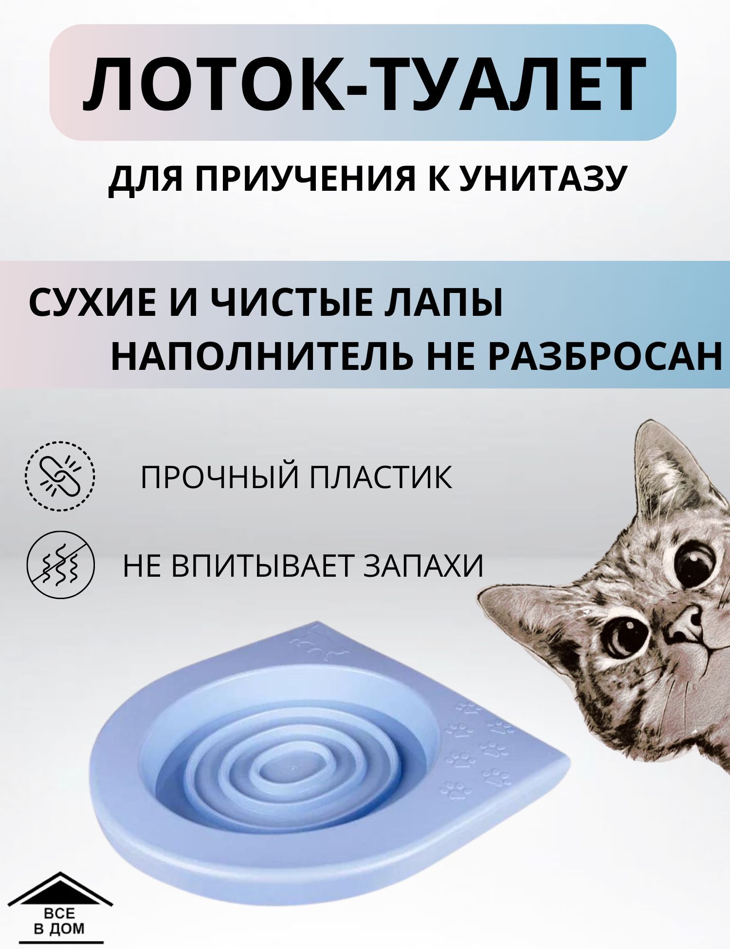 Отодектоз ушной клещ у кошек: что делать, симптомы, лечение в домашних условиях