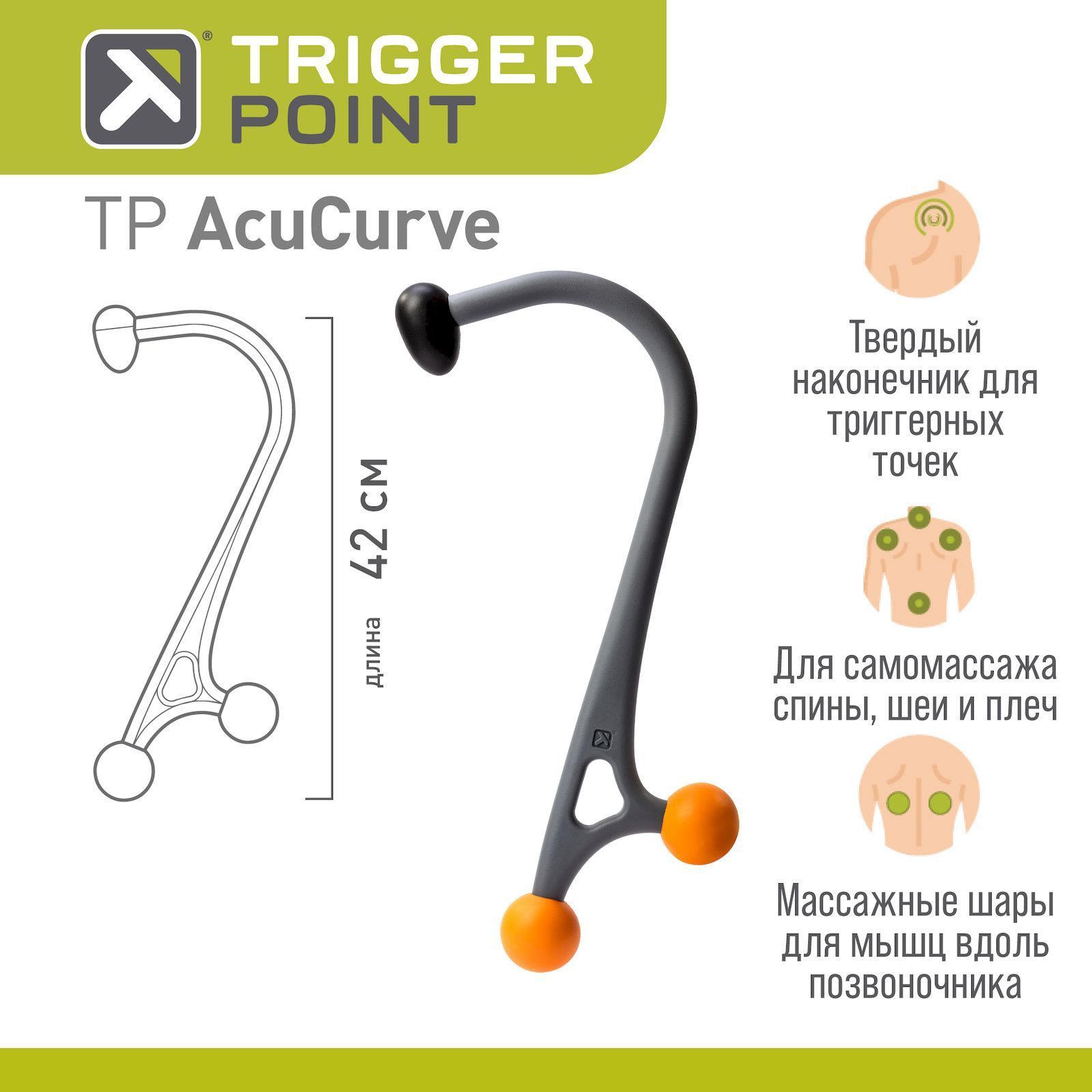 Ручной массажер-трость Trigger Point AcuCurve - купить с доставкой по  выгодным ценам в интернет-магазине OZON (213138934)