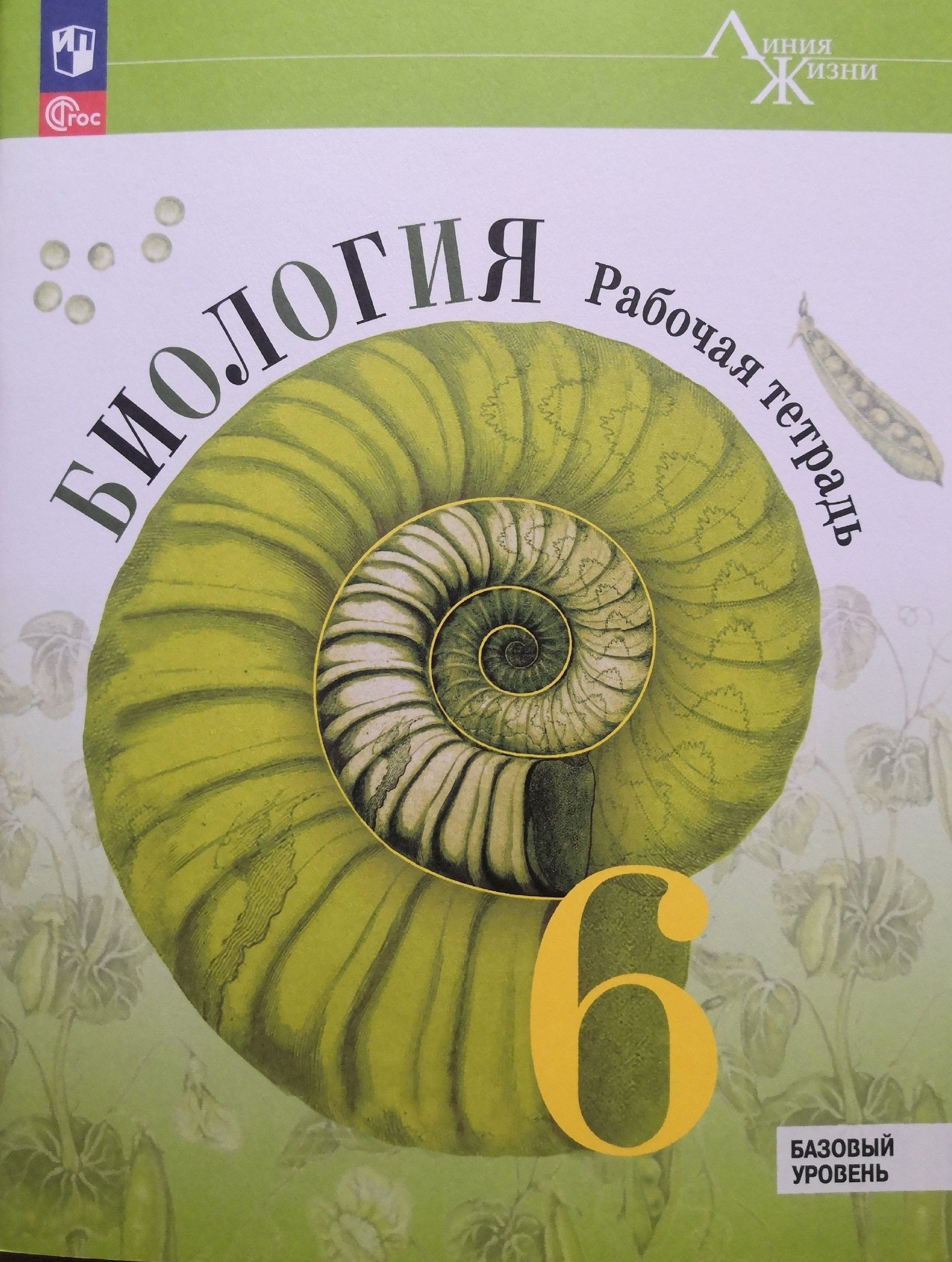 Биология. 6 класс. Рабочая тетрадь. Авторы: В.В. Пасечник, Г.Г. Швецов -  купить с доставкой по выгодным ценам в интернет-магазине OZON (1253911966)