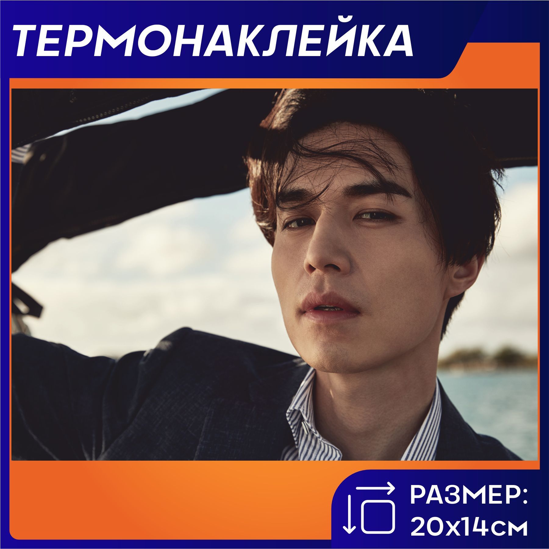 Термонаклейка на одежду Ли Дон Ук купить на OZON по низкой цене (1259425273)