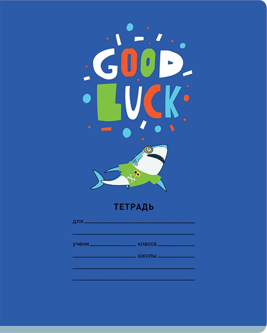 Красивые тетрадки. Тетрадь bg рельеф-центр линия на скрепке gl а5 12л. Тетрадь в косую линию. Тетради bg. Тетради bg.