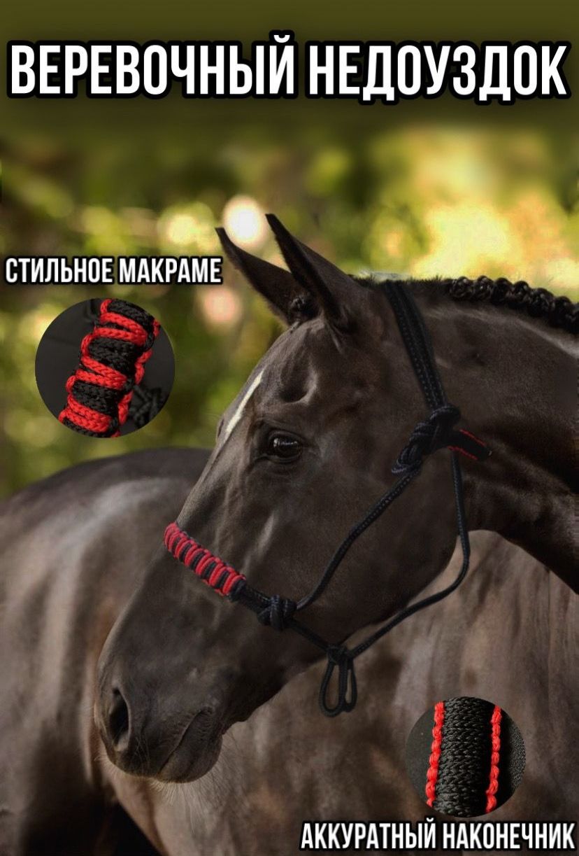 Как завязывать веревочный недоуздок | Положение недоуздка на голове лошади | How to tie rope halter