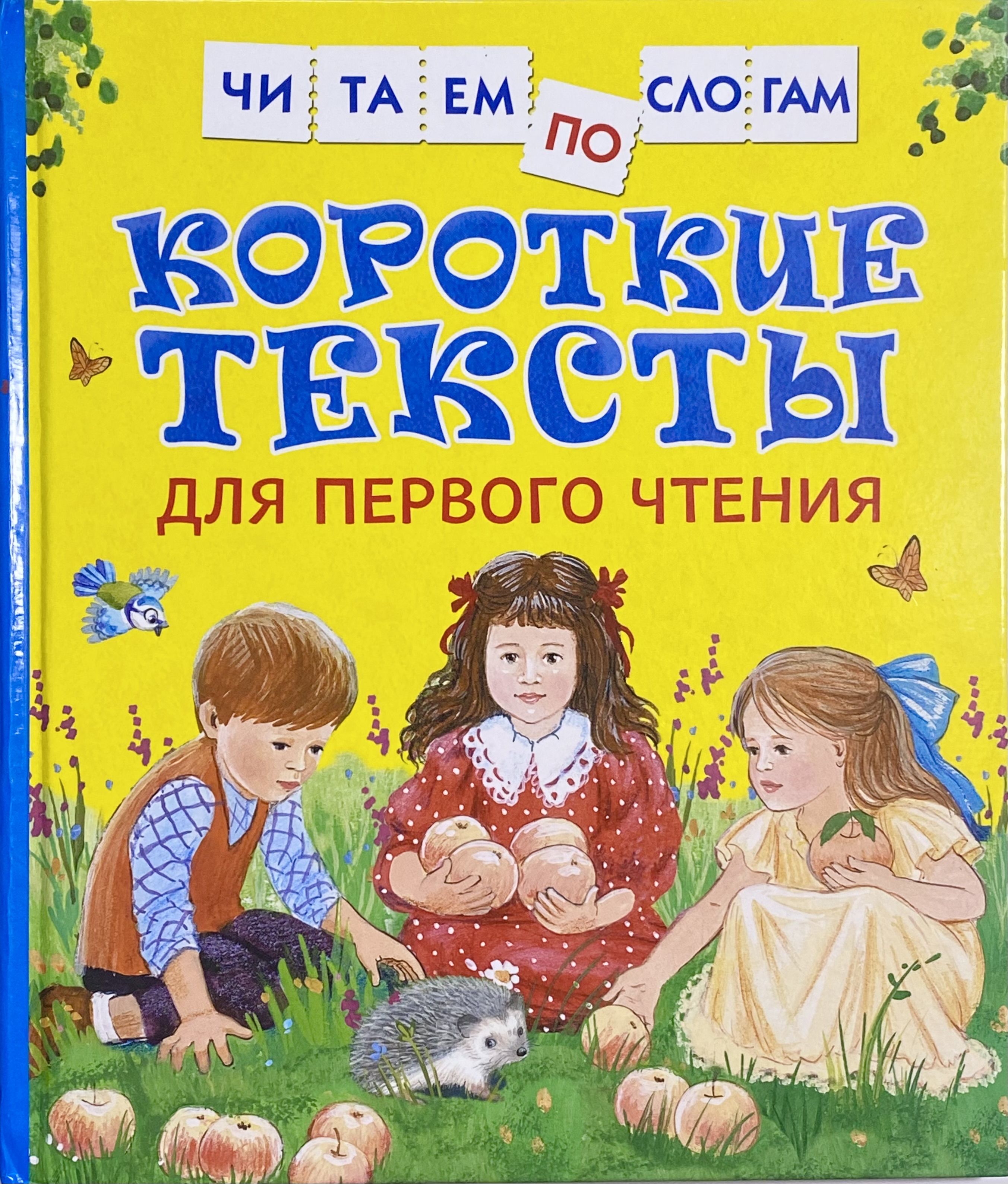 Книжка читаем по слогам. Рассказы для первого чтения. Текс для первого чтения. Книги для первого чтения. Короткие тексты для чт.