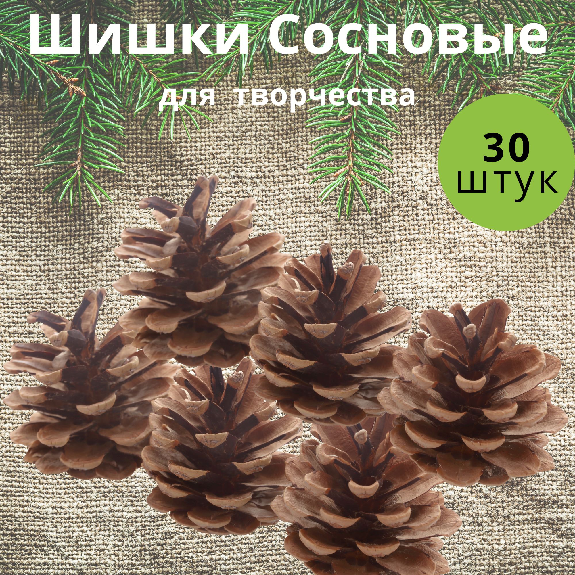 Шишки для декора, на елку и для поделок 30 шт., 4-5 см. Для создания  различных творческих идей, украшений, новогодних венков.Подойдут детям и  взрослым. - купить с доставкой по выгодным ценам в интернет-магазине