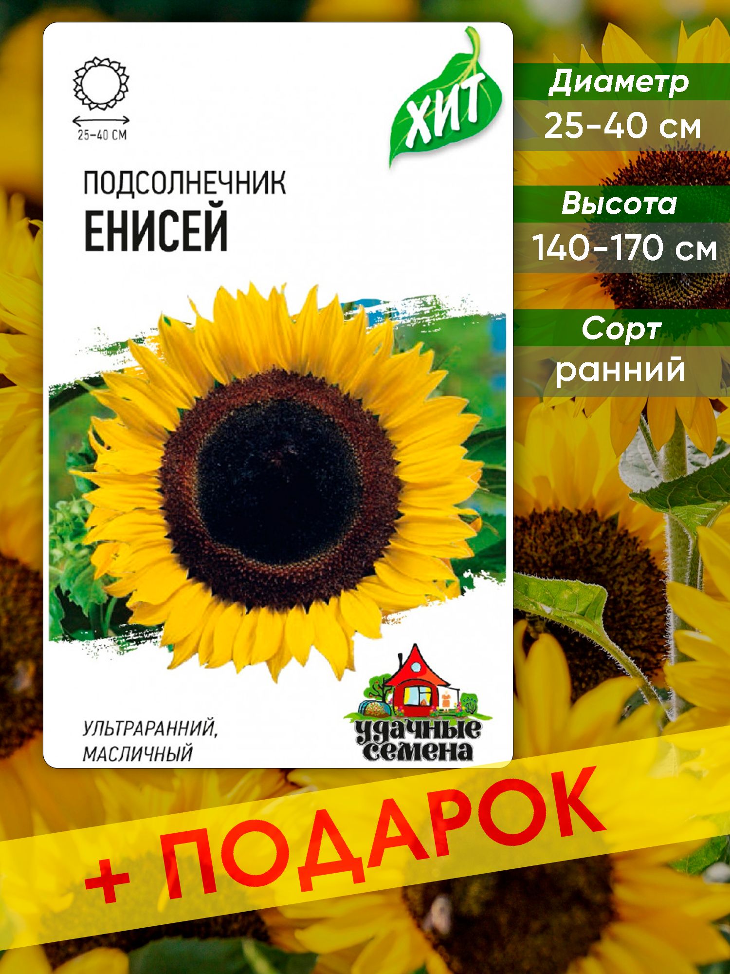 Семена Подсолнечника Енисей Купить