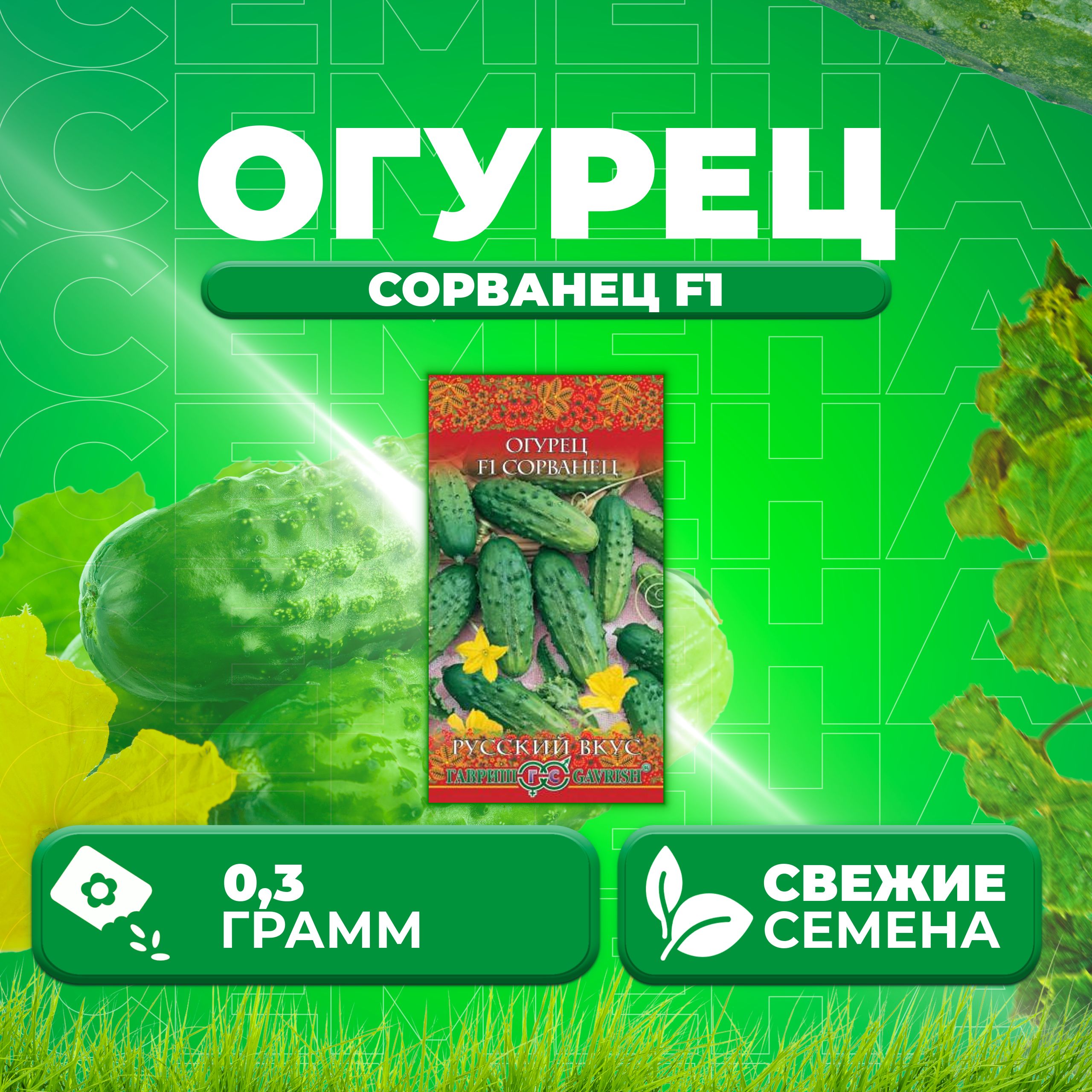 Огурцы Семена Отзывы Фото