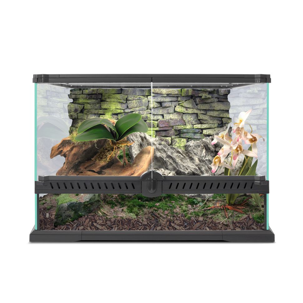 Террариум Nomoy Pet Rainforest tank M2 45х45х30см