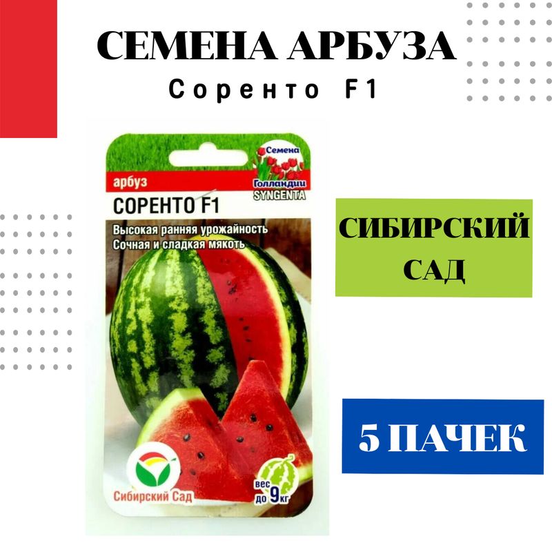 Арбуз Соренто Описание Сорта Фото Отзывы