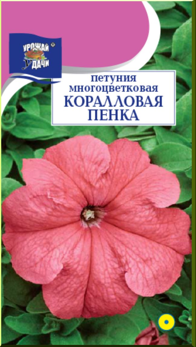Коралловая пенка. Петуния лососевая. петуния океан оранж бэбитуния урожай. петуния коралловая. петуния дримс коралловая пенка.