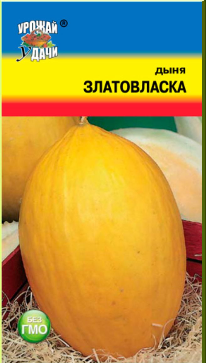 Дыня колхозница урожай удачи. Урожай удачи. Дыня Дюна.