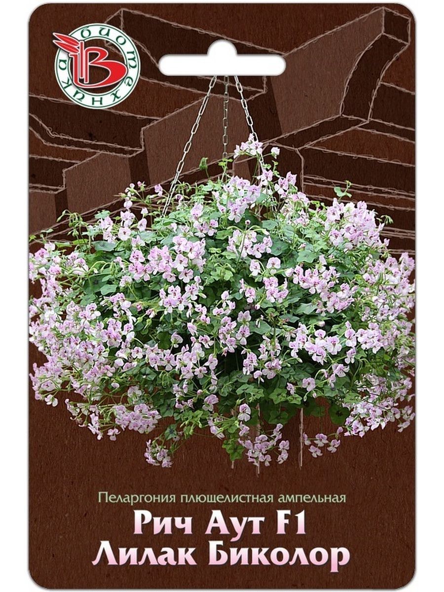 Пеларгония плющелистная ампельная рич аут f1 пинк. Рич аут f1. Пеларгония плющелистная ампельная рич аут f1 лилак биколор. Пеларгония плющелистная ампельная рич аут f1 лайт парпл. Биотехника пеларгония рич аут.