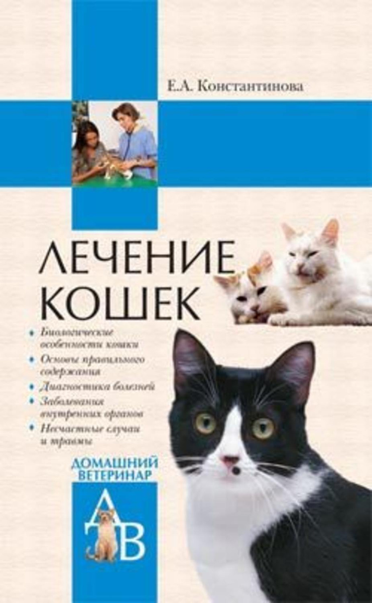 Лечение Кошек Фото