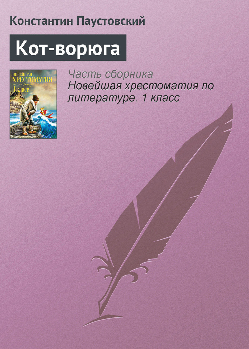 Книга: Кот ворюга