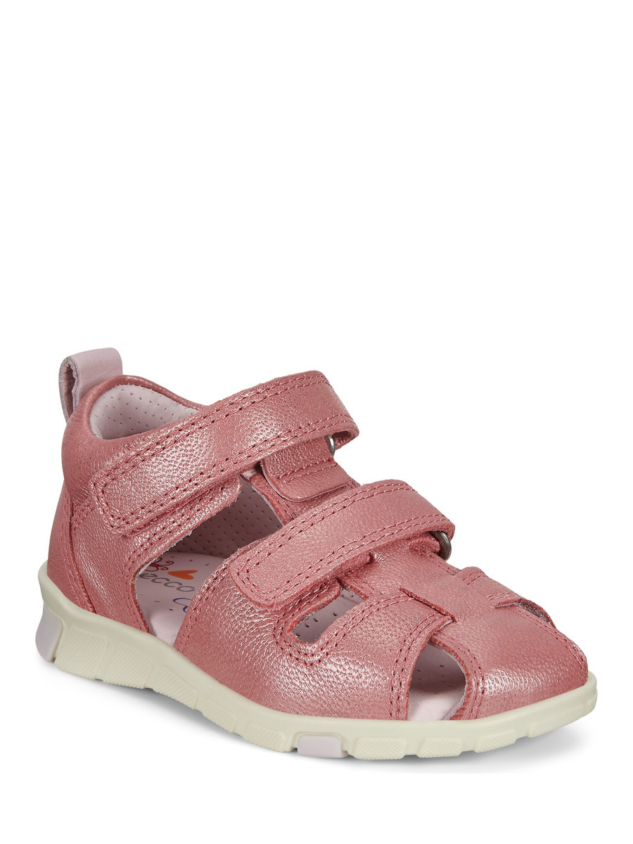 ecco peekaboo
