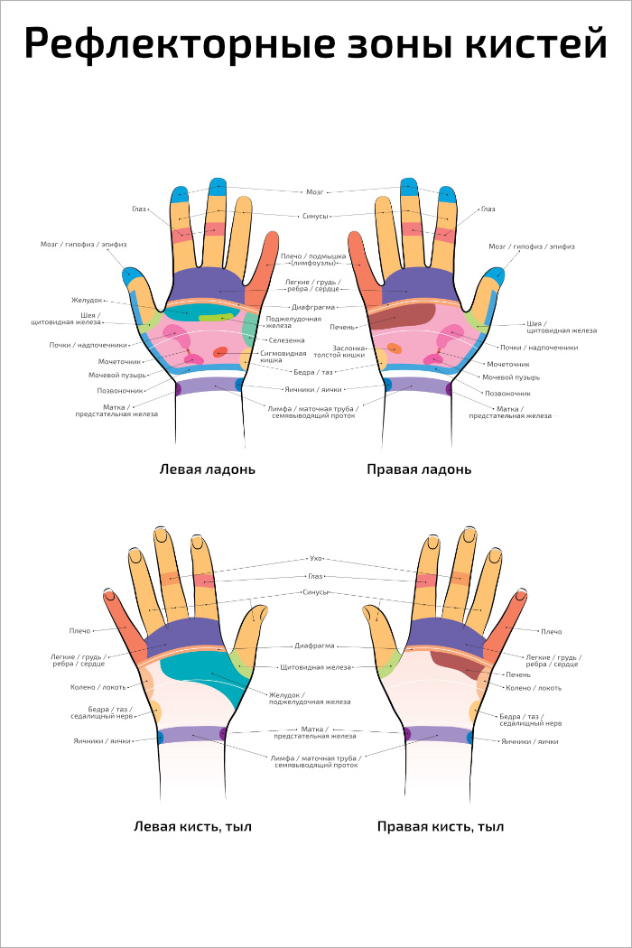 Точечный массаж кистей рук схема