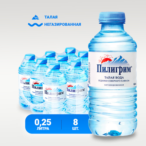 Пилигрим негазированная