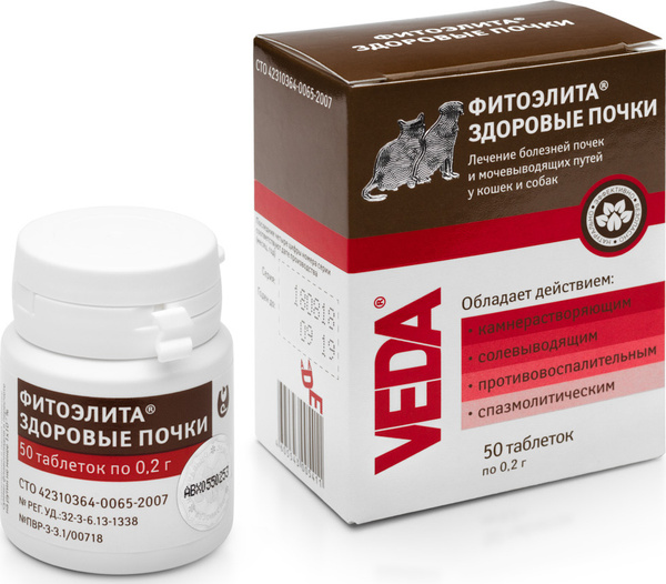 Здоровые почки для кошек