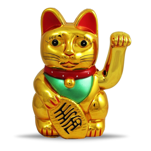 Как выглядит китайская кошка