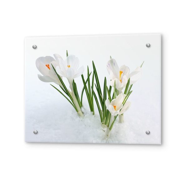 Защитное закаленное стекло для фартука на кухню. Защитный кухонный ...