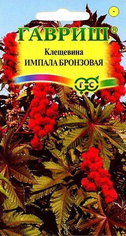 Клещевины Гавриш Клещевина Импала бронзовая - купить по выгодным ценам ...