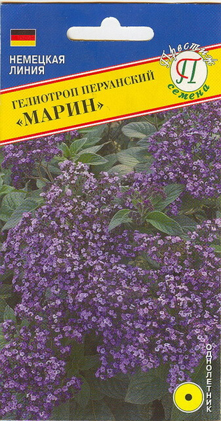 Семена Гелиотроп древовидный Марина: описание сорта, фото - купить с доставкой и