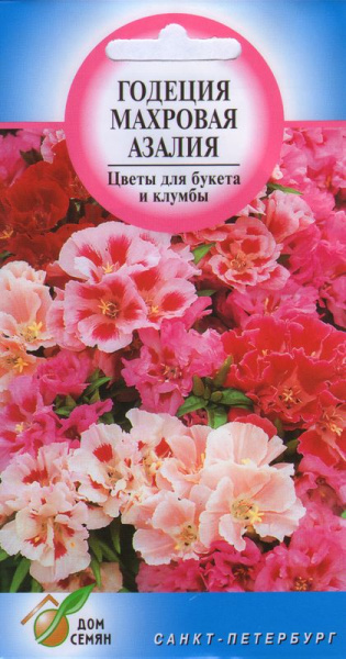 Декоративные разные, Годеция Дом Семян Годеция Азалия, махровая ...