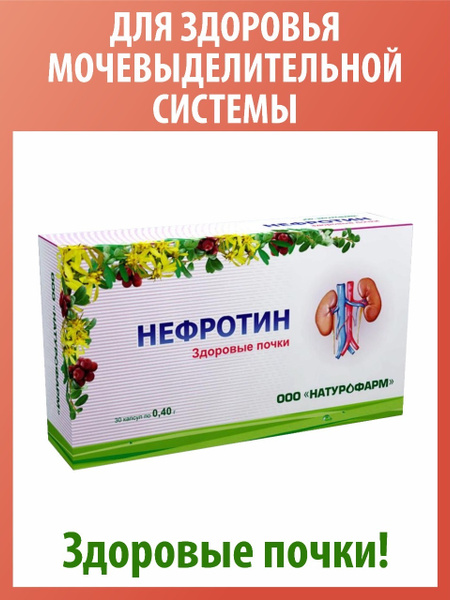 Нефротин / здоровье мочевыделительной системы / для почек / урология ...